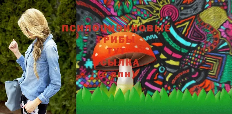 Псилоцибиновые грибы MAGIC MUSHROOMS  купить наркотики сайты  KRAKEN вход  Кашира 